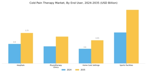 Cold Pain Therapy Market Segment Image 2