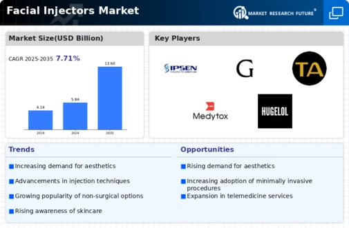 Facial Injectors Market Infographic