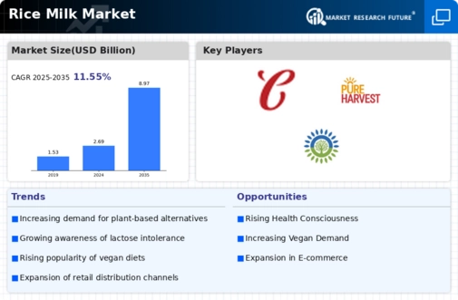Rice Milk Market Infographic