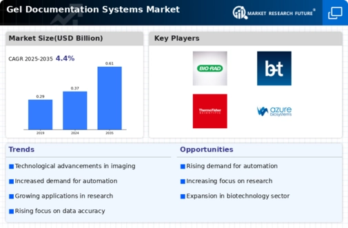 Gel Documentation Systems Market Infographic
