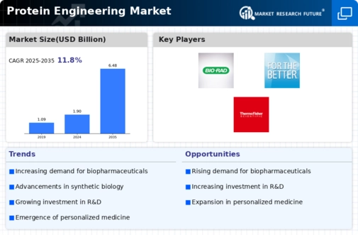 Protein Engineering Market Infographic