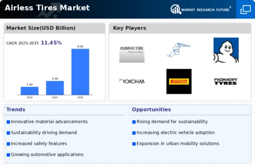 Airless Tires Market Infographic