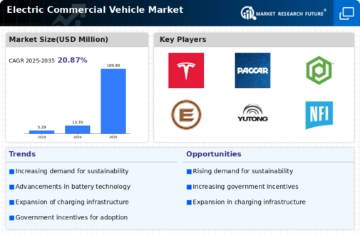 Electric Commercial Vehicle Market Infographic