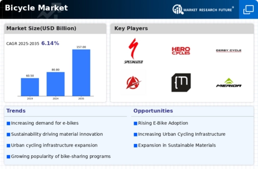 Bicycle Market Infographic
