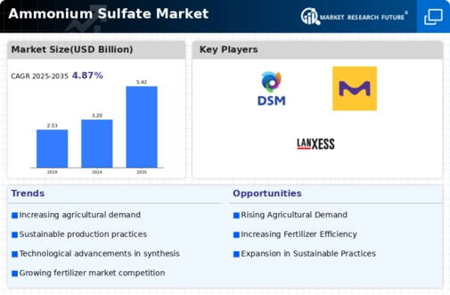Ammonium Sulphate Market Infographic