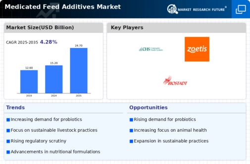 Medicated Feed Additives Market Infographic