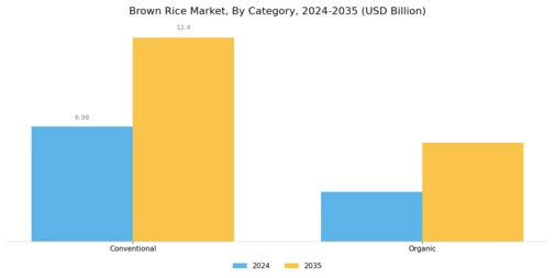 Brown Rice Market Segment Image 0