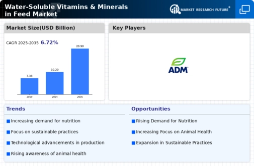 Water Soluble Vitamins Minerals Feed Market Infographic