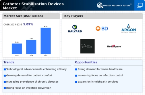 Catheter Stabilization Market Infographic