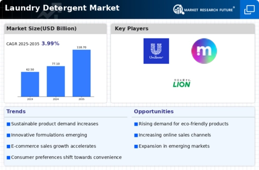 Laundry Detergents Market Infographic
