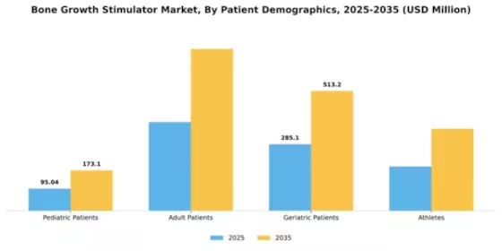 Bone Growth Stimulator Market Segment Image 2