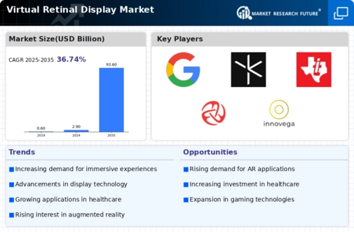 Virtual Retinal Display Market Infographic