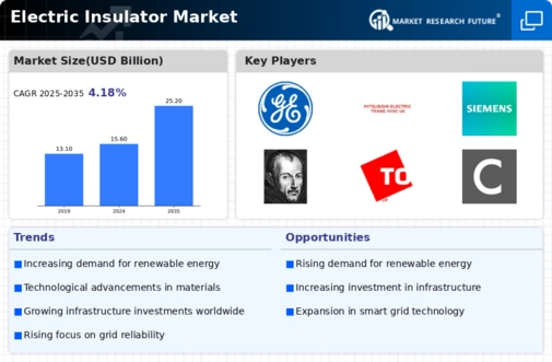 Electric Insulator Market Infographic