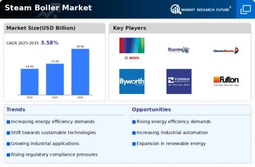 Steam Boiler Market Infographic