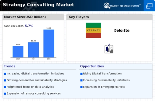 Strategy Consulting Market Infographic