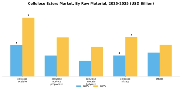 Cellulose Esters Market Segment Image 1
