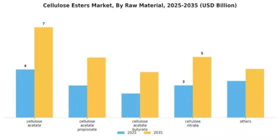 Cellulose Esters Market Segment Image 0