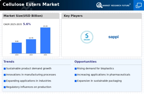 Cellulose Esters Market Infographic