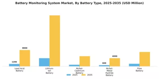 Battery Monitoring System Market Segment Image 1