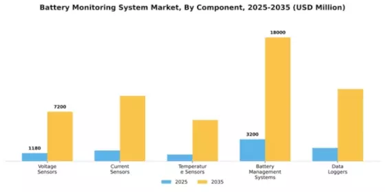 Battery Monitoring System Market Segment Image 2