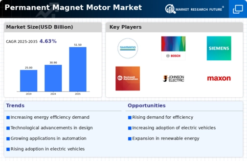 Permanent Magnet Motor Market Infographic