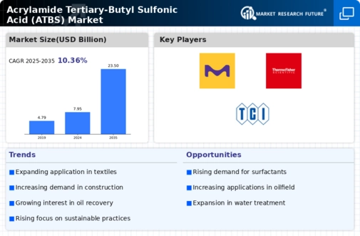 Acrylamide Tertiary Butyl Sulfonic Acid Market Infographic