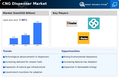 CNG dispenser Market Infographic