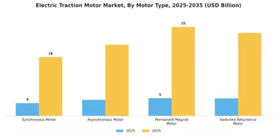 Electric Traction Motor Market Segment Image 1