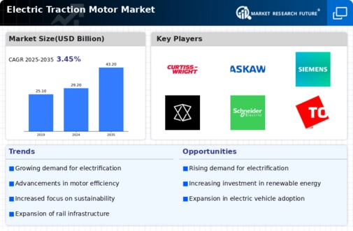Electric Traction Motor Market Infographic