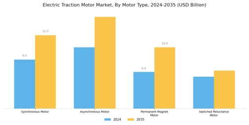 Electric Traction Motor Market Segment Image 1