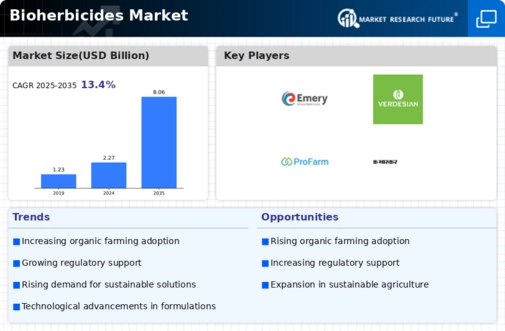 Bioherbicides Market Infographic