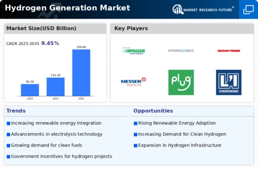 Hydrogen Generation Market Infographic