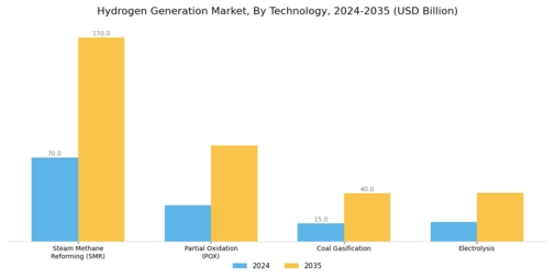 Hydrogen Generation Market Segment Image 1