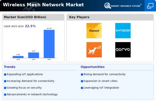Wireless Mesh Network Market Infographic