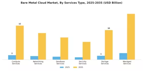 Bare Metal Cloud Market Segment Image 0