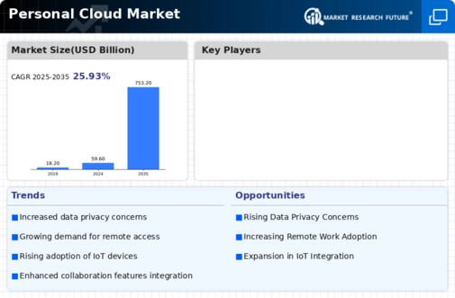 Personal Cloud Market Infographic