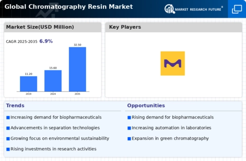 Chromatography Resin Market Infographic