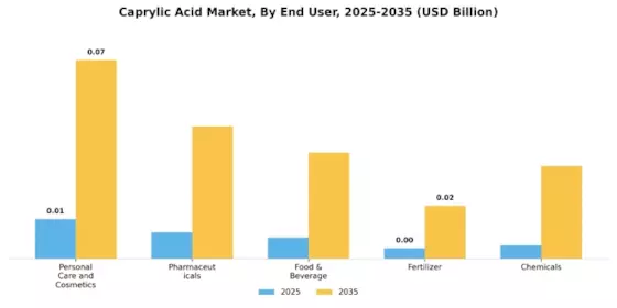 Caprylic Acid Market Segment Image 0
