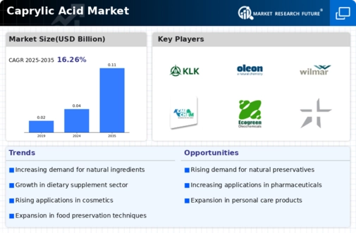 Caprylic Acid Market Infographic