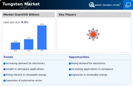 Tungsten Market Infographic