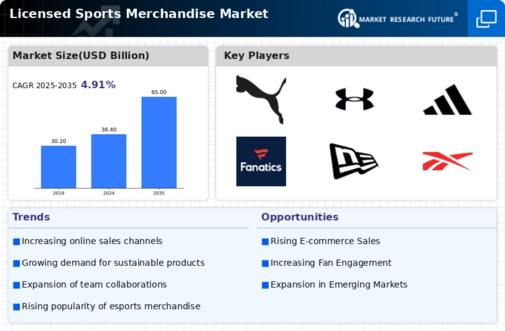 Licensed Sports Merchandise Market Infographic