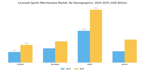 Licensed Sports Merchandise Market Segment Image 3