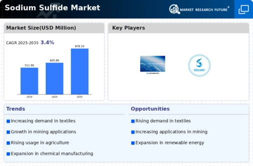 Sodium Sulfide Market Infographic