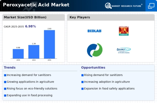 Peroxyacetic Acid Market Infographic