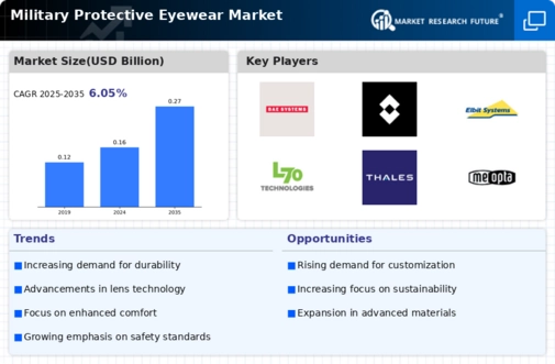Military Protective Eyewear Market Infographic