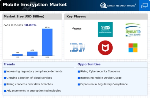 Mobile Encryption Market Infographic