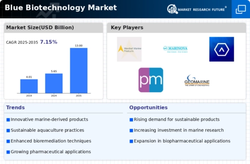 Blue Biotechnology Market Infographic