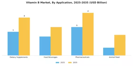 Vitamin B Market Segment Image 0