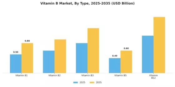 Vitamin B Market Segment Image 3