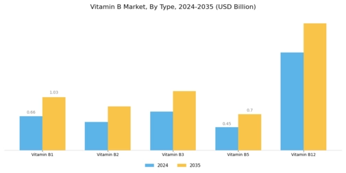 Vitamin B Market Segment Image 1